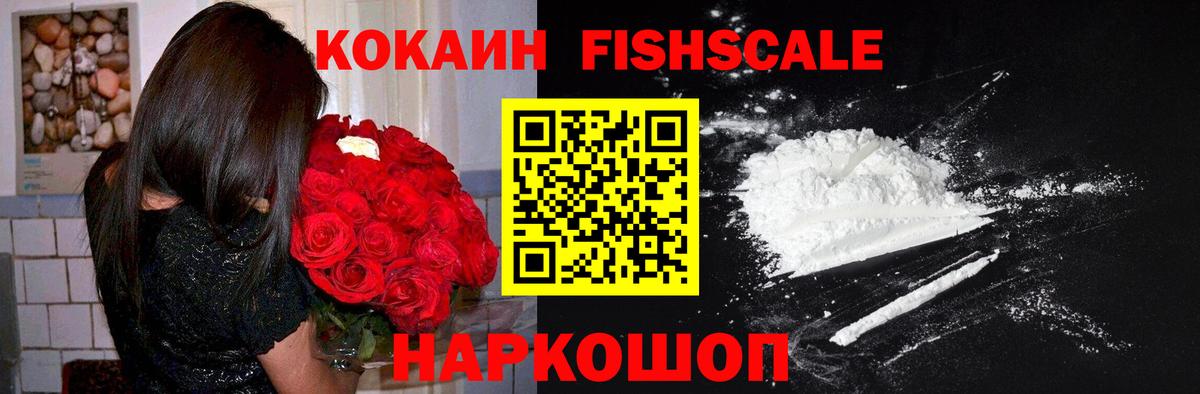 COCAIN Fish Scale  Вход с VPN  COCAIN Fish Scale  Симферополь 
